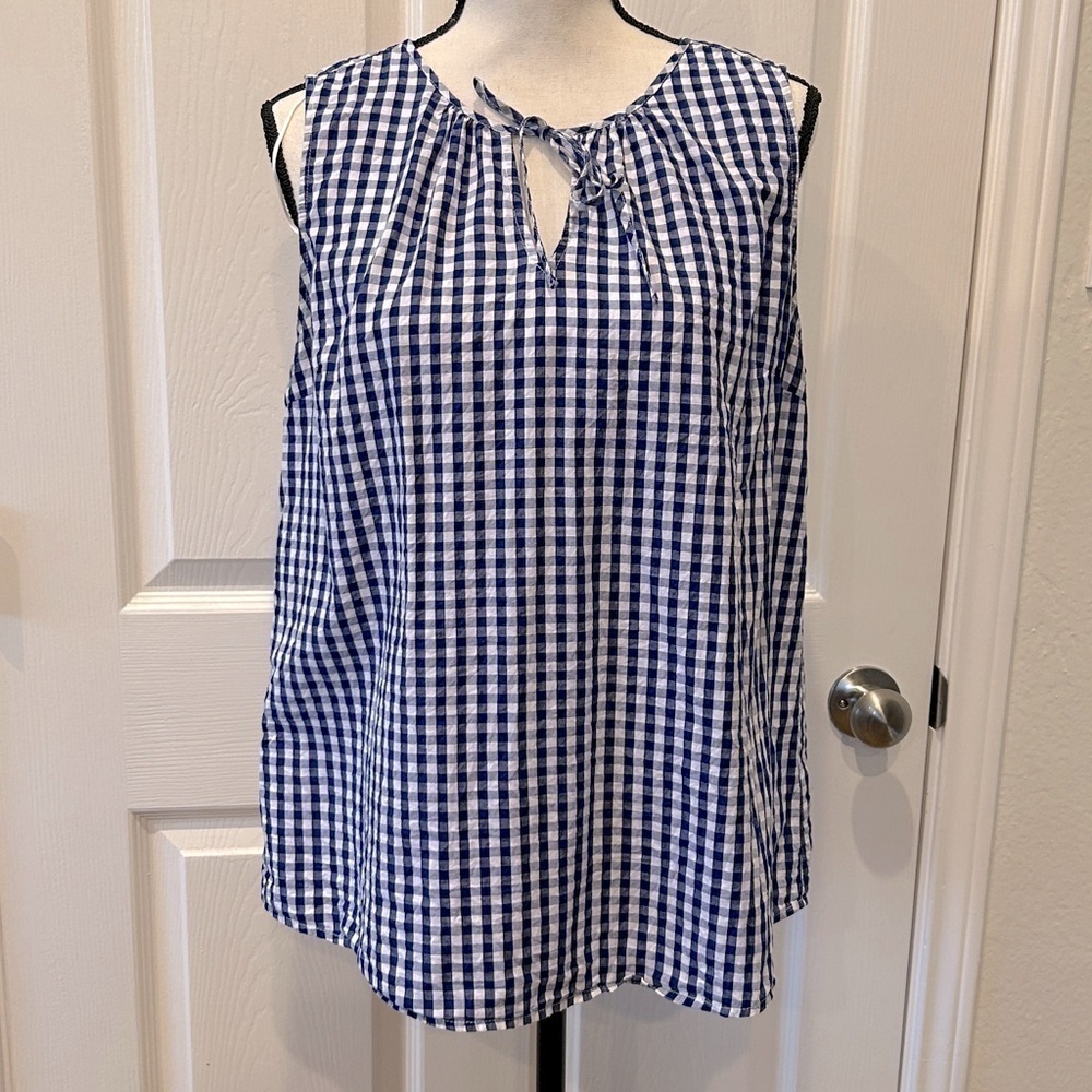 Dalia Sleeveless Cotton Blouse Size Large Blue & White Checks - Picture 1 of 8